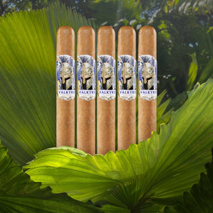 Man O' War Valkyrie Robusto 5.3" x 50-Sampler of 5