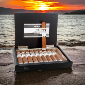 Plasencia Cosecha 146 La Vega Robusto Gordo 5"1/4 * 52