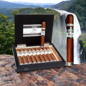 Plasencia Cosecha 146 San Luis Toro 5"3/4 * 54