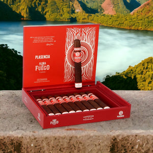 Plasencia Alma del Fuego Concepcion 6" * 54