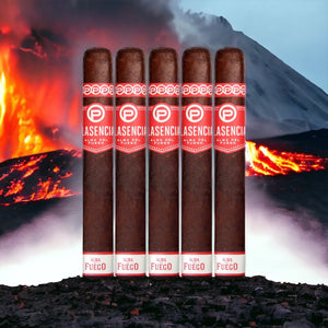 Plasencia Alma del Fuego Concepcion 6" * 54-Sampler of 5