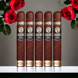 Plasencia Alma Fuerte Robustus I 5"1/4 * 52-Sampler of 5