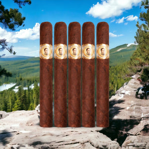 ボリバル コフラディア プチ コロナ 4"1/2 * 36 サンプラー 5