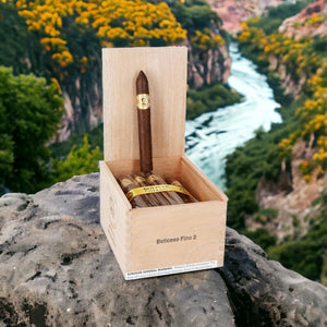 ボリバル コフラディア トルペド 6"1/4 * 50