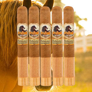 Stallone Palomino Toro 6x54-Sampler of 5