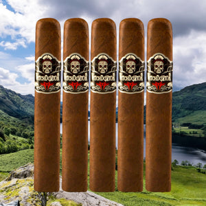 ウィッチドクター・ゴルド 6 x 58 - 5個入りサンプル