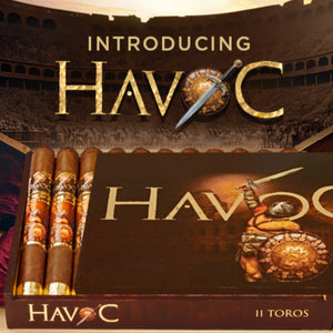 Havoc by AJ Fernandez Toro 6.5 x 52