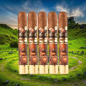 Havoc by AJ Fernandez Robusto 5 x 50