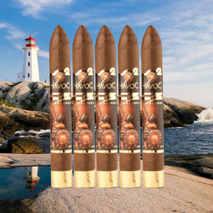 Havoc by AJ Fernandez Belicoso 6 x 54