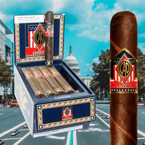 CAO アメリカランドマーク 6インチ×60