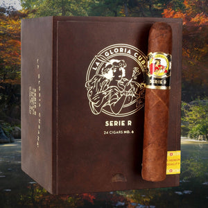 ラ グロリア クバーナ セリエ R ナチュラル No.6 5"7/8*60