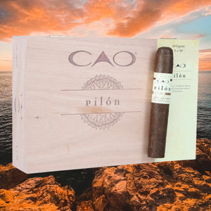 CAO ピロン ギガンテ 6インチ * 60