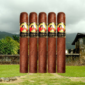 ラ グロリア クバーナ セリエ R ナチュラル No. 5 5"1/2 * 54-サンプラー 5