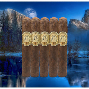 La Palina Maduro Robusto 5x52 Sampler of 5