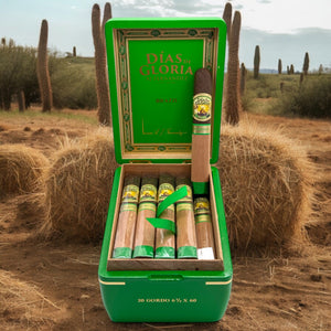 AJ Fernandez Dias de Gloria Brazil Gordo 6"1/2 * 60