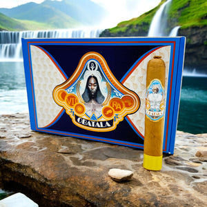 オバタラ（アラゴン・トロ・ゴルド、コネチカット州）5 x 56