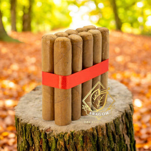 4X50 Petit Habano - Bundles of 25 and 10