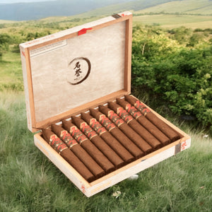 Samurai by AJ Fernandez Belicoso 6 1/2 x 54