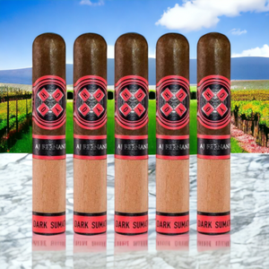 Hoyo La Amistad ダーク スマトラ エスプレッソ 4"1/2 * 50 サンプラー 5