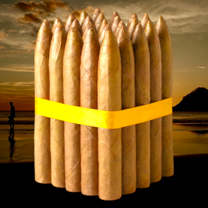 6X54 トルピード コネチカット - 25発と10発のバンドル