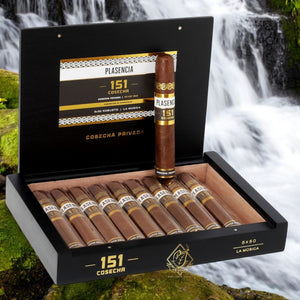 プラセンシア コセチャ 151 ラ ムジカ ロブスト 5" * 50