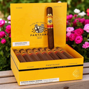 Partagas Natural Gigante 6" * 60