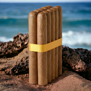 6X54 Toro Connecticut- Bundles of 10 & 25