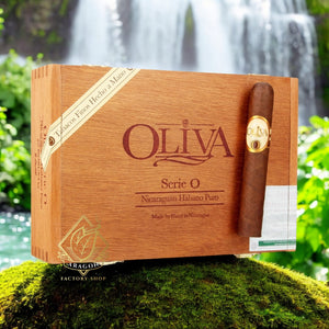 オリバ セリエ O ロブスト 5インチ * 50