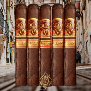 オリバ セリエ V メラニオ マドゥロ ダブル トロ 6 インチ * 60 サンプラー 5 個