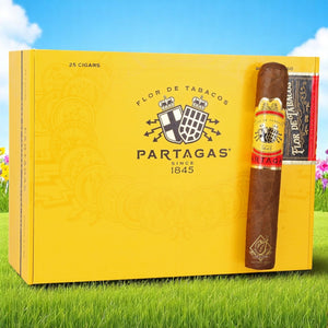 Partagas Natural Gigante 6" * 60