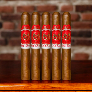 Partagas Cortado Toro 6" * 52 Sampler of 5