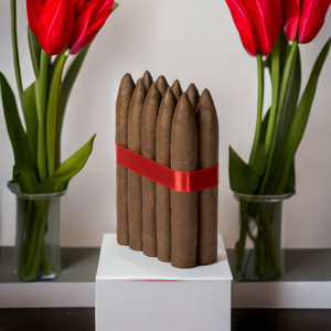 5x54 Torpedo Robusto Habano- Bundle of 10 and 25