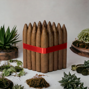 5x54 Torpedo Robusto Habano- Bundle of 10 and 25