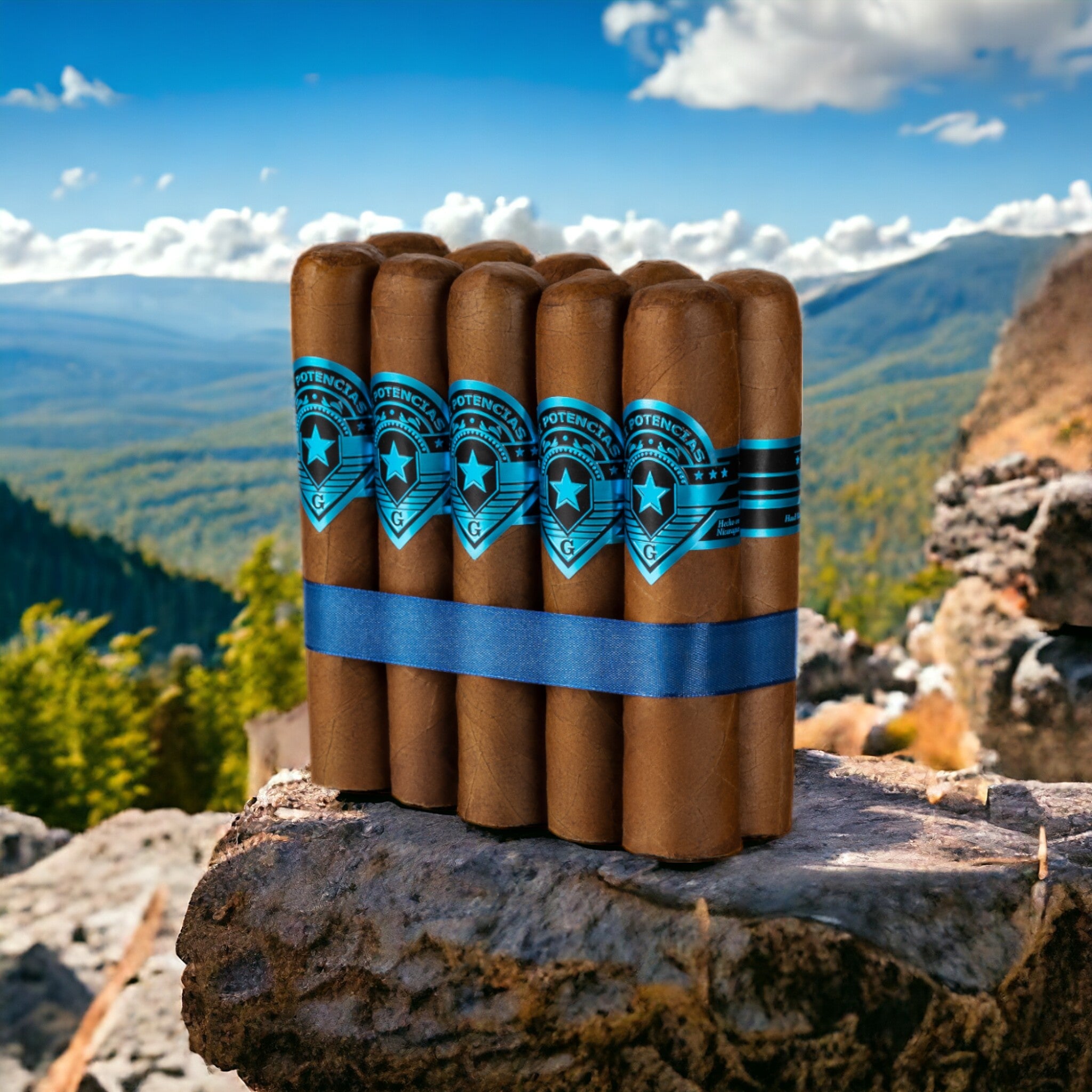 VII Potencia Blue Habano 5x64-Sampler of 10 - Tabacalera Aragon