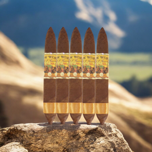 New World Dorado Figurado 6" * 56 Sampler of 5