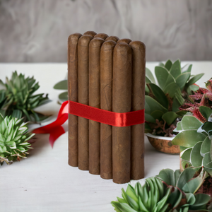 6 1/2x54 Sublime Habano- Bundle of 10 and 25