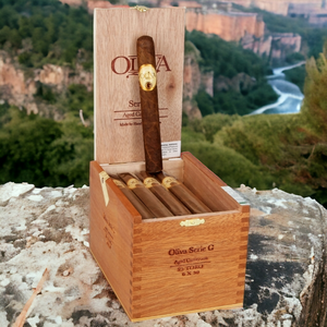 オリバ セリエ G トロ 6インチ * 50