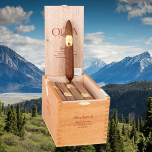 Oliva Serie G Figurado 6"1/2 * 60