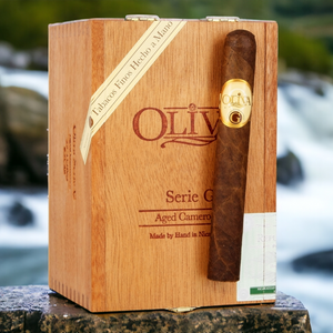 オリバ セリエ G トロ 6インチ * 50