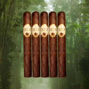 Oliva Serie G Toro 6" * 50-Sampler of 5