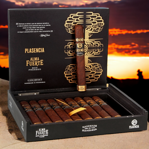 Plasencia Alma Fuerte Nestor IV Toro 6"1/4 * 54