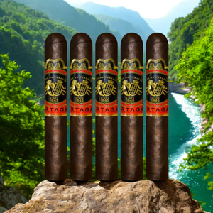 パルタガス ブラックラベル クラシコ 5インチ1/4 x 54 5個入りサンプラー