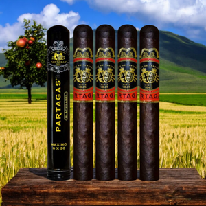 パルタガス ブラックラベル マキシモ 6インチ×50 5個入りサンプル
