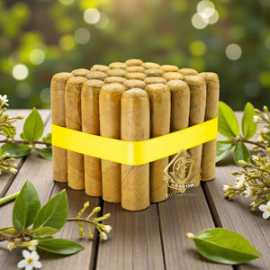 3 3/4x 46 Robusto Connecticut-Bundles of 25 & 10