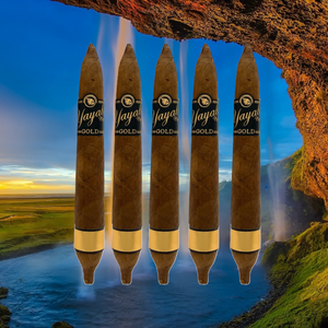 サロモン エクアドル ハバノ(YAYABO ゴールド ブラック) - 25 個セット