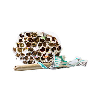 Tampeño Cigars Newspaper Edition Candela