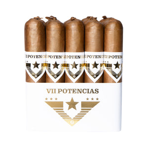 VII ポテンシア・リザレクション・コネチカット