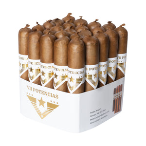 VII ポテンシア・リザレクション・コネチカット