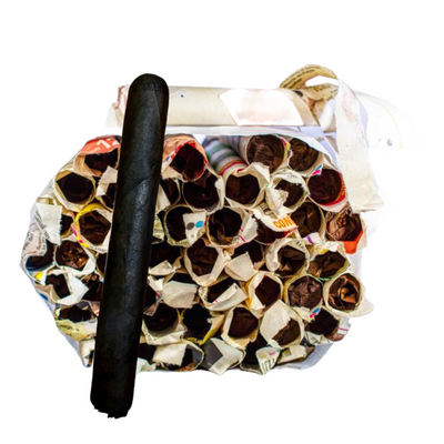 TAMPENO CIGARS