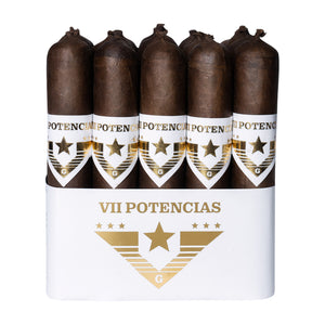VII Potencia Resurrection Maduro
